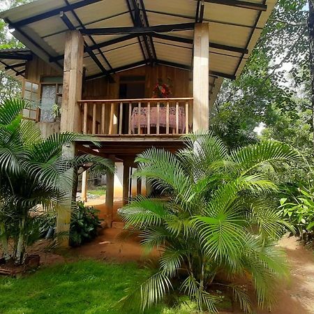 Ruk Sewana Villa Tree House Sigiriya Luaran gambar