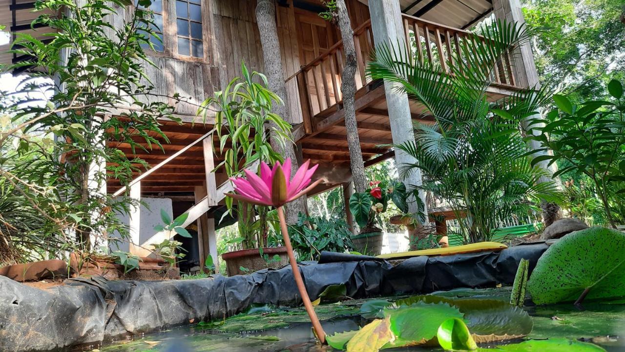 Ruk Sewana Villa Tree House Sigiriya Luaran gambar