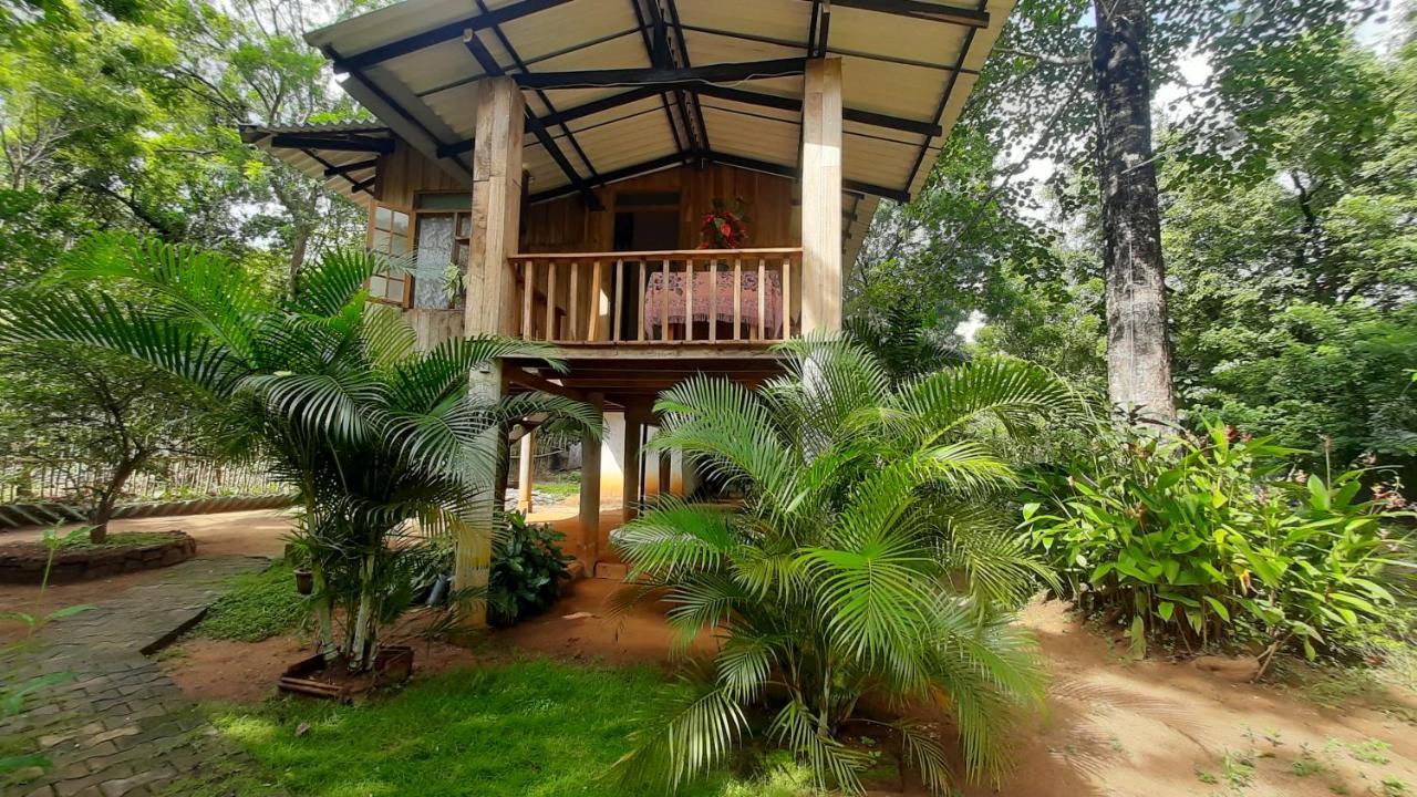 Ruk Sewana Villa Tree House Sigiriya Luaran gambar